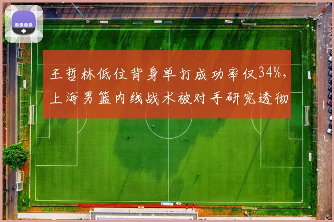 王哲林低位背身单打成功率仅34%，上海男篮内线战术被对手研究透彻